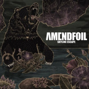 Amendfoil: Skyline Escape